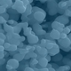 Illustration for article titled Nanoparticle Gym Socks Poison Wildlife